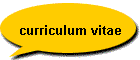 curriculum vitae