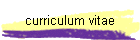 curriculum vitae